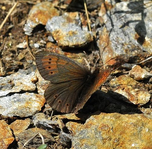 un giorno in montagna